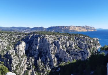 Trail Walking Marseille - Belvédère d'en Vau depuis la route de la Gineste - Photo