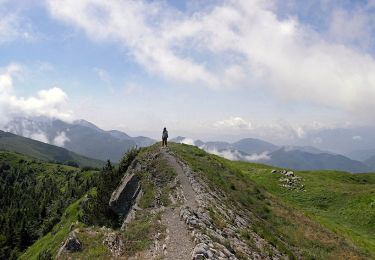 Tocht Te voet Lama Mocogno - Via Vandelli - Photo