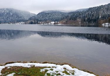 Tocht Stappen Xonrupt-Longemer - Le tour du lac de longemer  - Photo
