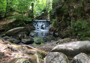 Tour Wandern Sewen - Le jeudi de Mai  - Photo