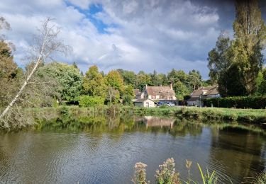 Tocht Stappen Clairefontaine-en-Yvelines - Clairefontaine - Photo