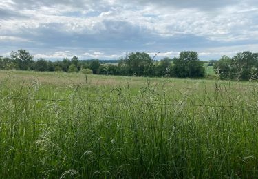 Randonnée Marche Gerpinnes - Petit tour sympa  - Photo