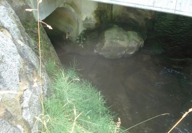 Tour Zu Fuß Dammbach - Roter Hase, Rundwanderweg Dammbach - Photo