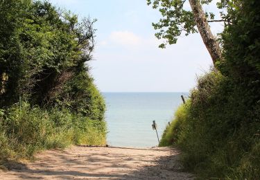 Trail On foot Dahme - Große Holzkoppel-Route - Photo