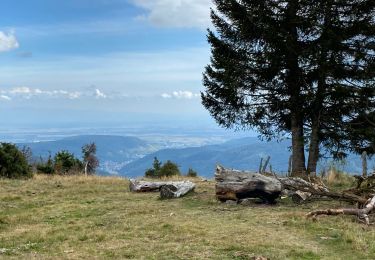 Tocht Stappen Linthal - De l’Etterlematt à Landersen et retour - Photo