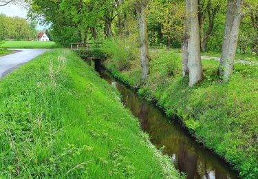 Tocht Te voet Sittensen - Nordpfad 'Börde Sittensen' - Photo