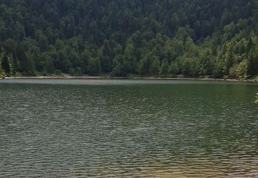 Tour Wandern Woll - lac des corbeaux  - Photo