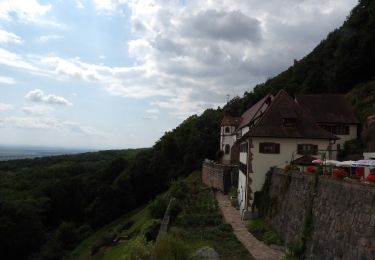 Tour Wandern Osenbach - osenbach-schauenberg - Photo