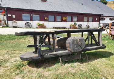 Tour Wandern Luttenbach-près-Munster - rdpr g3 ried 220802 - Photo