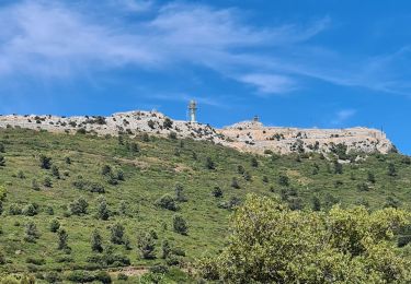 Trail Walking Évenos - Toulon Col du corps de garde Mont Caume - Photo