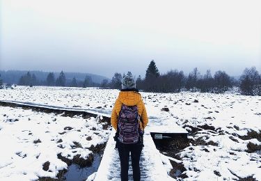 Tocht Stappen Waimes - La fagne de la Poleur. - Photo