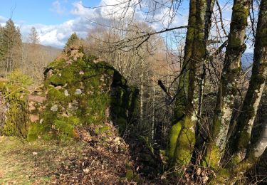 Excursión Senderismo La Rosière - La rosière et le fort de rupt petite randonnée - Photo