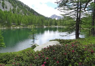 Tour Wandern Saint-Martin-Vésubie - Lac Scluos  - Photo