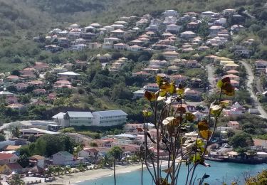 Excursión Senderismo Les Anses-d'Arlet - morne Champagne  - Photo