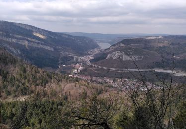 Trail Walking Le Poizat-Lalleyriat -  le chemin de l'écureuil - Photo