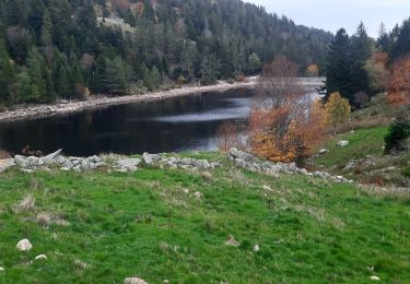 Tour Wandern Le Valtin - 4 lacs - Photo