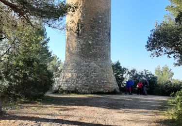 Excursión Senderismo Saint-Marc-Jaumegarde - Cesar - Photo