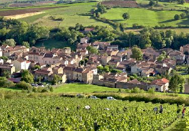 Tocht Stappen Villeneuve - Villeneuve_Boudes_Chalus - Photo