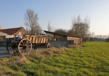 Tocht Elektrische fiets Ronse - Renaix - Beausite - Anvaing Carnois (œufs) - Photo