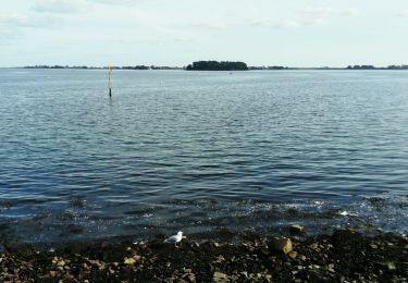 Tocht Stappen Île-aux-Moines - tour Nord de l'île aux Moines - Photo