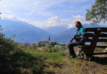 Tocht Noords wandelen Arbaz - 13.07.20 bisse de Grimisuat  - Photo