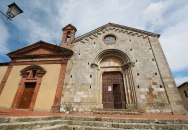 Randonnée A pied Torrita di Siena - Sentiero del Vinsanto - Photo