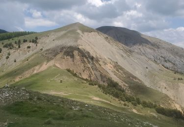 Trail Walking Barles - Barles la laupie tourtoureau - Photo