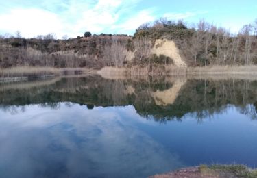 Tour Wandern Causses-et-Veyran - Causses - Teams 2021 - Photo