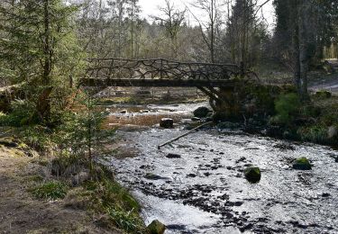 Tocht Te voet Stavelot - Hockai : 11. La Hoegne - Photo