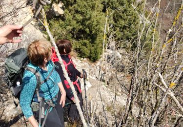 Tocht Stappen Choranche - grotte balme rousse  - Photo