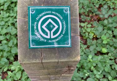 Trail Walking Watermael-Boitsfort - Watermaal-Bosvoorde - Parc Solvay Grippensdelle - Photo