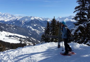 Trail Snowshoes Villard-sur-Doron - Bisanne-2021-02-15 - Photo