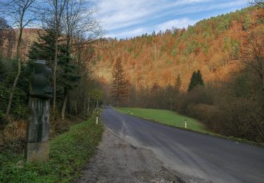 Trail On foot Haibach ob der Donau - Burgruine Stauf - Photo