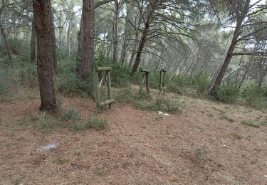 Trail Walking Montagnac - parc de bessilles courses - Photo
