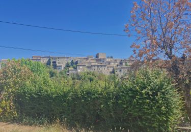 Tour Wandern Chomérac - Chomerac Les 2 Vallées 14km. - Photo