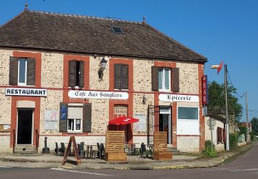 Randonnée Vélo de route Paron - 178 065 Charmoi-01 - Photo