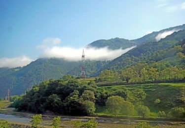 Percorso A piedi  - Câinenii Mici - M. Zănoaga - creasta principală - Photo