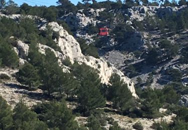 Randonnée Marche Toulon - Tour du Mont Faron - Photo