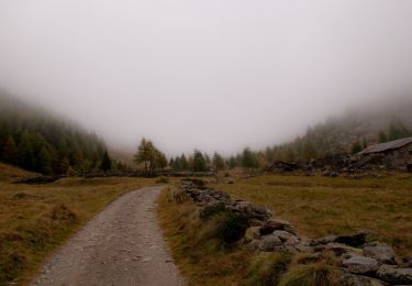 Randonnée A pied Vezza d'Oglio - Bassa Via Val Grande sinistra - Photo