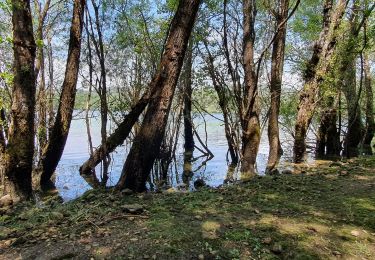 Tocht Stappen Baudinard-sur-Verdon - BAUDINARD  MONPEZAT - Photo