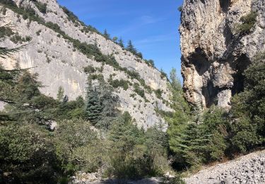Percorso Sentiero Cheval-Blanc - Valloncourt-Regalon-Pradon-Oppède-Combrès_VAiguille - Photo