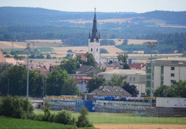 Tour Zu Fuß Gemeinde Horn - Steindlbergweg - Photo