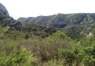 Trail Walking Marseille - luminy- morgiou - Photo