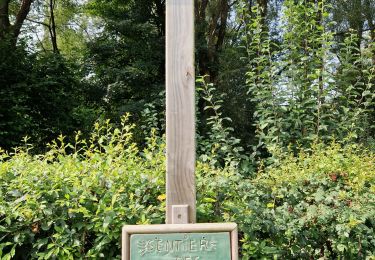 Percorso Marcia Genappe - en passant par le bois ballon et les vignes du château de Bousval. - Photo