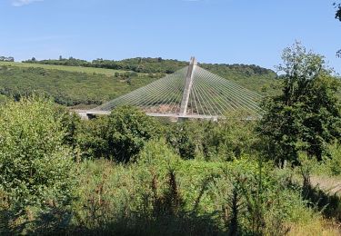 Trail Walking Argol - Pont de Terenez 13-07-2022 - Photo