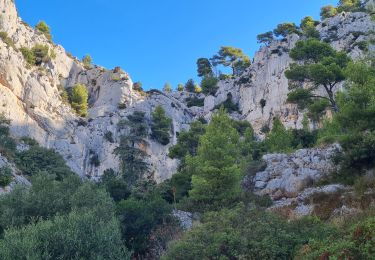 Trail Walking Toulon - faron Daniel Louis   sud et sommet - Photo