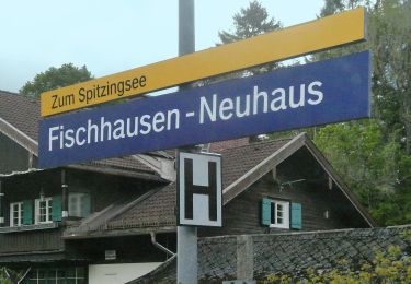 Percorso A piedi Schliersee - Neuhaus - Auracher Köpferl - Aurach - Photo