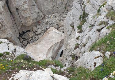 Percorso Marcia Châtillon-en-Diois - Vallon de Combau  - Photo