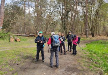 Trail Walking Fontainebleau - 25 avril - Photo