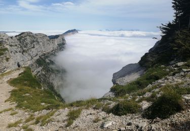 Tocht Stappen Villard-de-Lans - le pic St michel - Photo